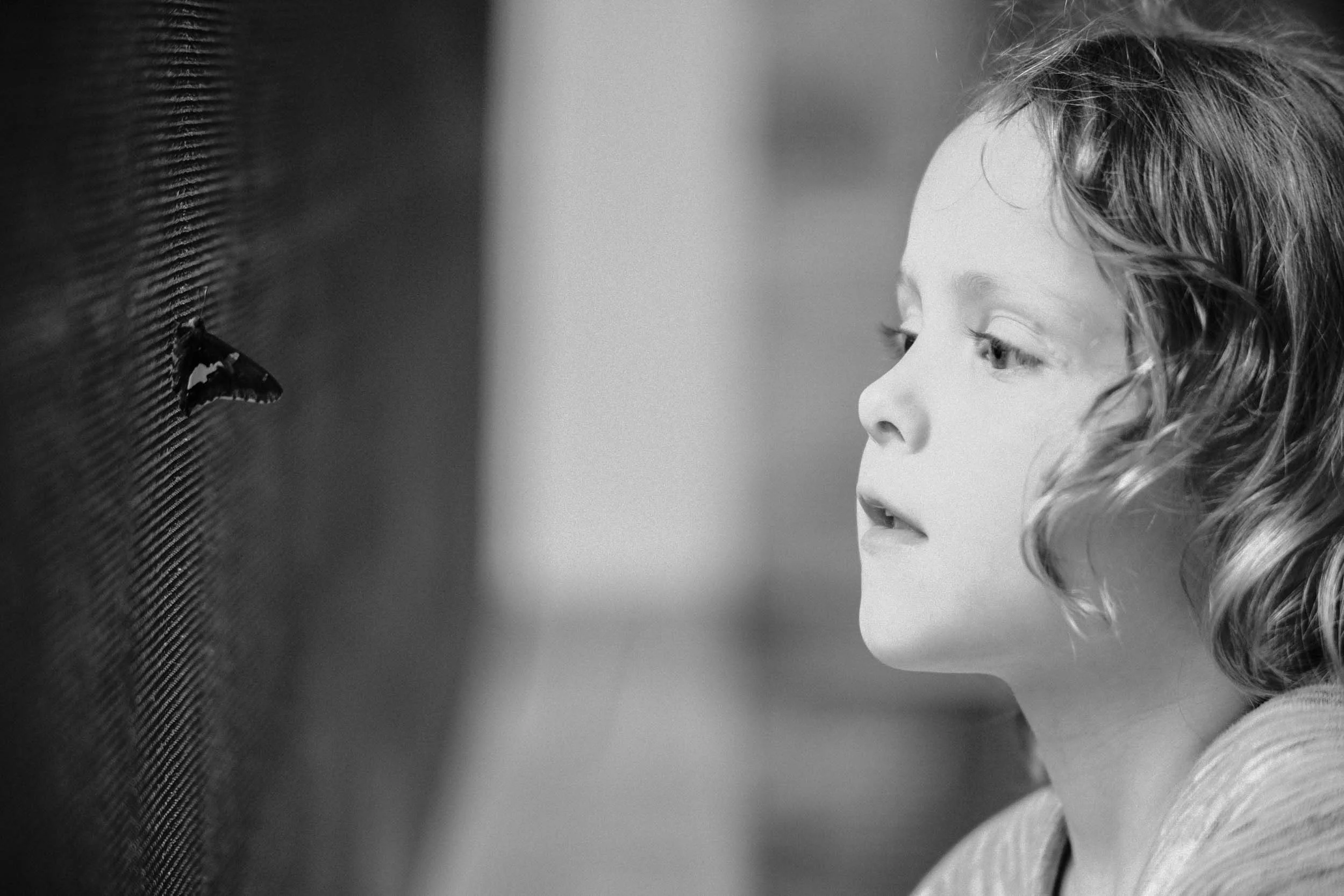 The Vintage Lens That Turned Me to Manual: Nikkor 105mm f2.5 Ai (A